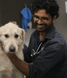 Fashionable Pets - Health Issues